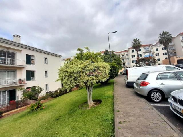 Apartamentos 1 quarto, Funchal Ilha da Madeira DS101410694