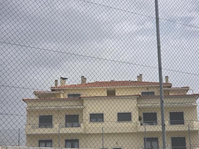 Apartamentos 1 quarto, Leiria Leiria DLS101741843