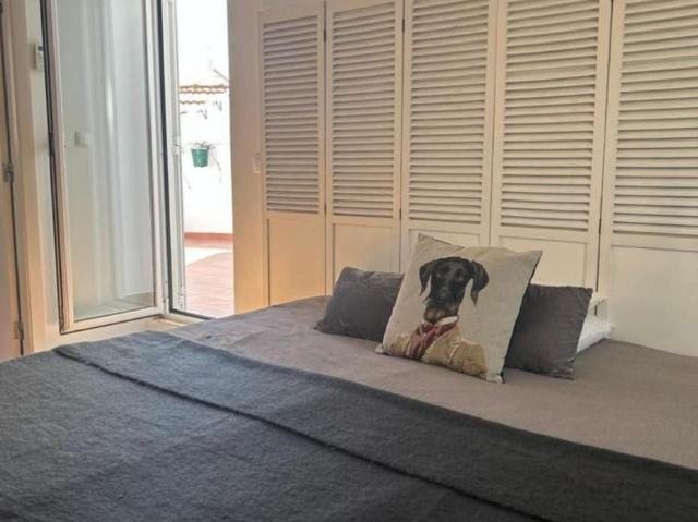 Apartamentos 1 quarto, Lisboa Lisboa DS103313644