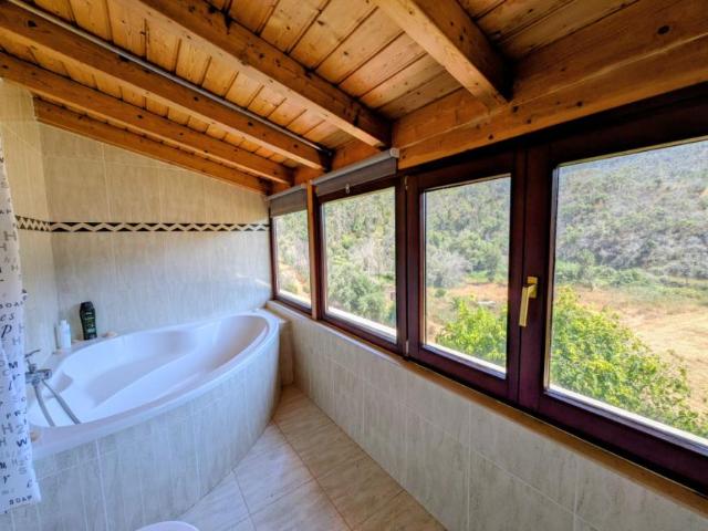 Apartamentos 1 quarto, São Miguel São Miguel ES99386890