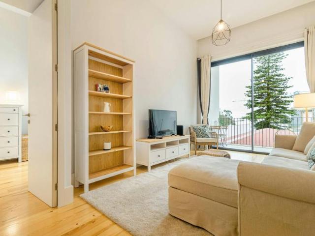 Apartamentos 1 quarto, Porto Porto 4050 DS91027423