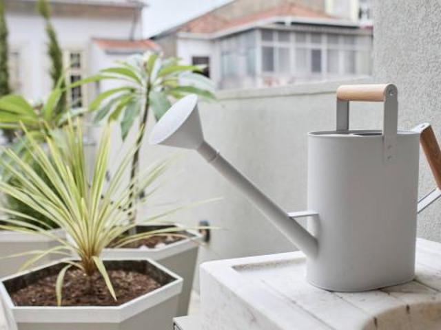 Apartamentos 1 quarto, Porto Porto 4000 508 DLS81320069