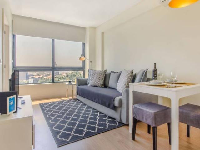 Apartamentos 1 quarto, porto porto 4000 DLS101771982