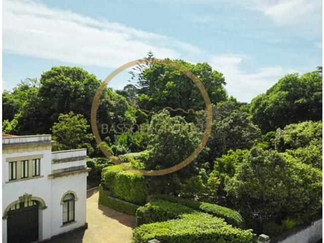 Apartamentos 1 quarto, Porto Porto 4150 704 DS102375048