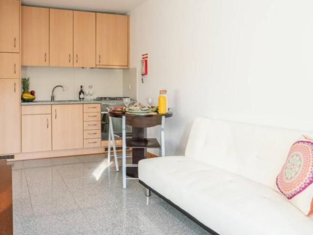 Apartamentos 1 quarto, porto porto 4200 133 ES102852395