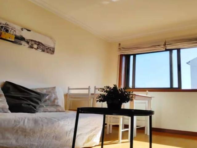Apartamentos 1 quarto, Porto Porto 4300 061 DLS95391931