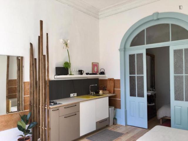 Apartamentos 1 quarto, Porto Porto DS103335775