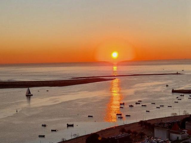 Apartamentos 1 quarto, Porto Porto ES102055387