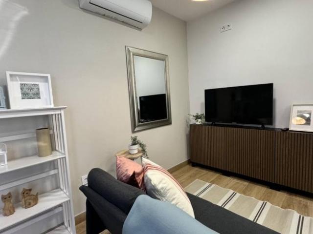 Apartamentos 2 Dormitorio Madrid Madrid ELS101776284