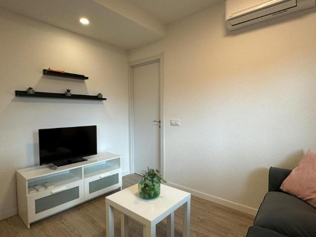 Apartamentos 2 Dormitorio Madrid Madrid ELS99687209