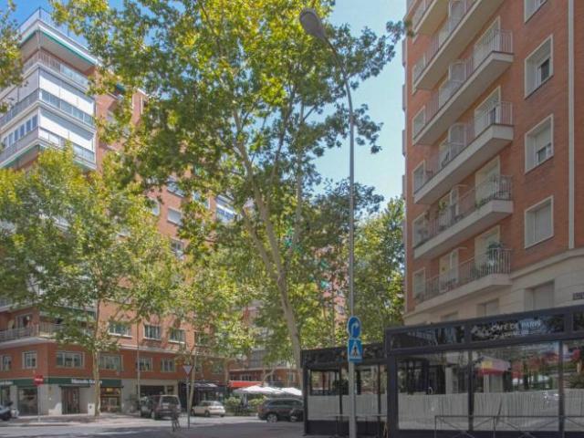 Apartamentos 2 Dormitorio Madrid Madrid ELS99010021