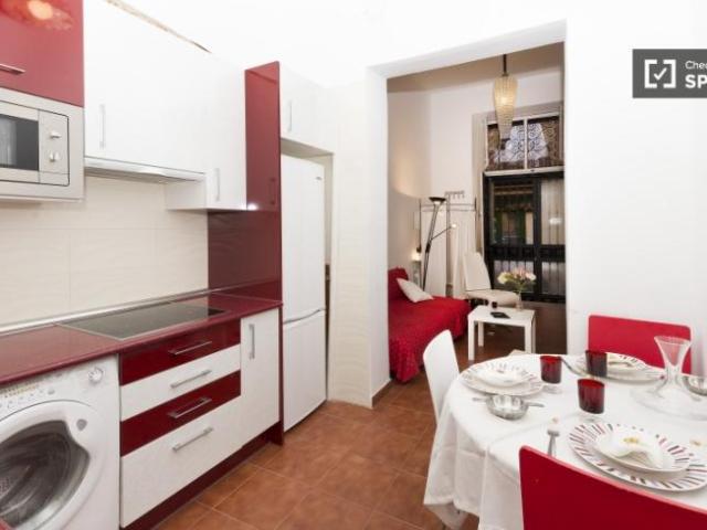 Apartamentos 2 Dormitorio Madrid Madrid ES101764875