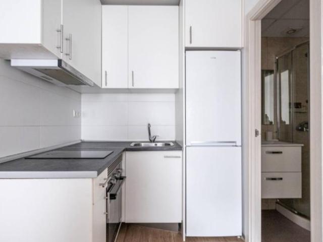 Apartamentos 2 Dormitorio Madrid Madrid ES102146791