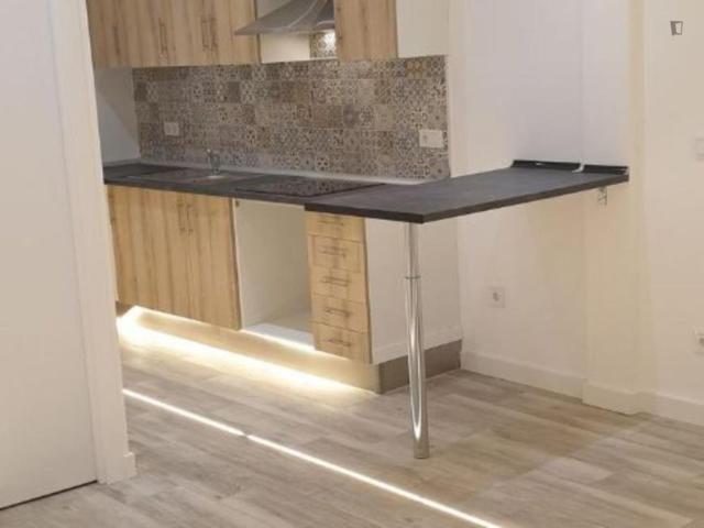 Apartamentos 2 Dormitorio Madrid Madrid ES103594803