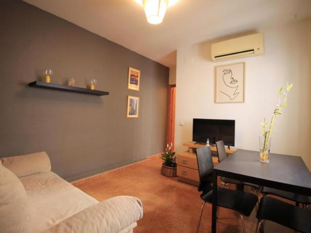Apartamentos 2 Dormitorio Madrid Madrid ES103594943