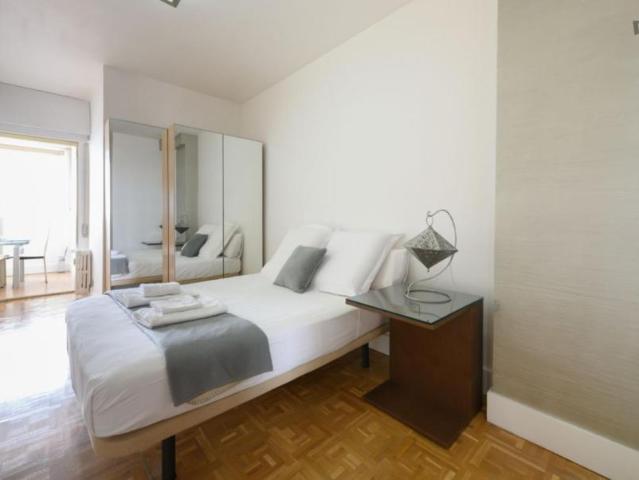 Apartamentos 2 Dormitorio Madrid Madrid ES103261483