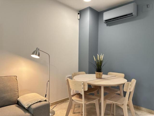 Apartamentos 2 Dormitorio Madrid Madrid ES103268062