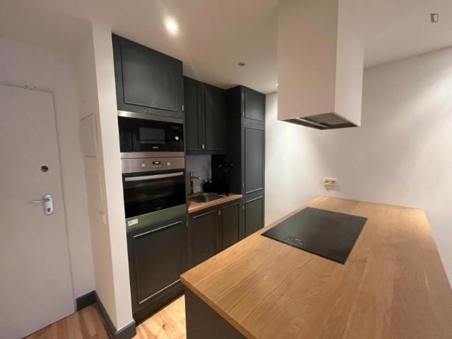 Apartamentos 2 Dormitorio Madrid Madrid ES103273872