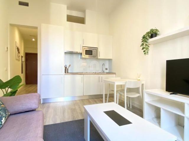 Apartamentos 2 Dormitorio Madrid Madrid ES103341932