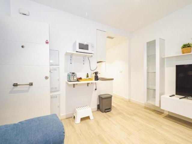 Apartamentos 2 Dormitorio Málaga Andalusia ES101376964