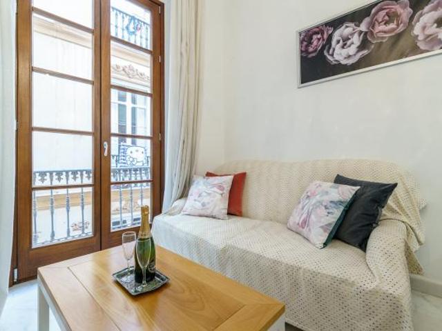 Apartamentos 2 Dormitorio Málaga Málaga ES72110516