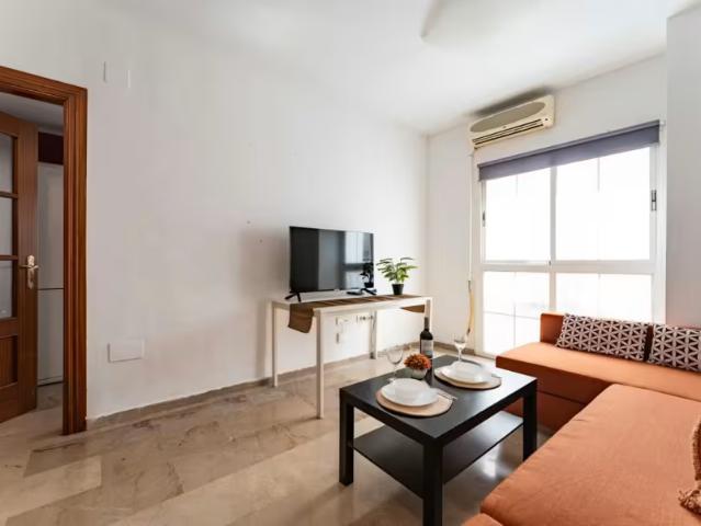 Apartamentos 2 Dormitorio Málaga Málaga ES97912751