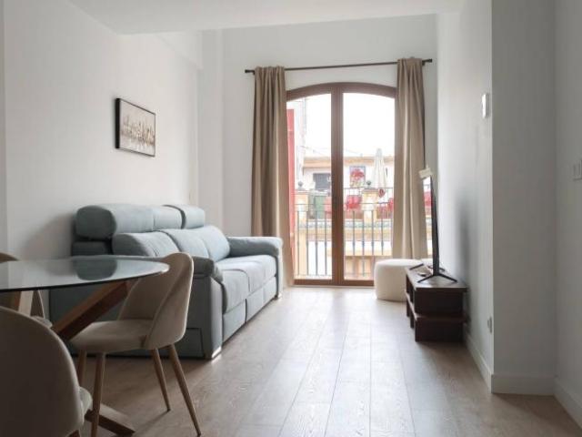 Apartamentos 2 Dormitorio Malaga Malaga ES101731288