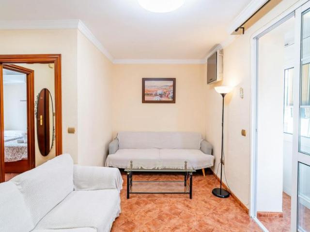 Apartamentos 2 Dormitorio Málaga Málaga ES103595126