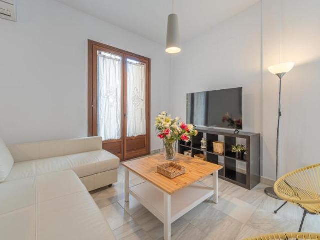 Apartamentos 2 Dormitorio Málaga Málaga ES103844640