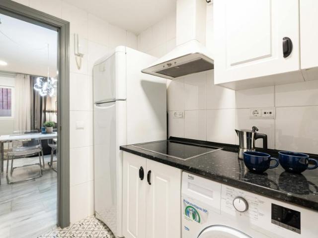 Apartamentos 2 Dormitorio Málaga Málaga ES103960314