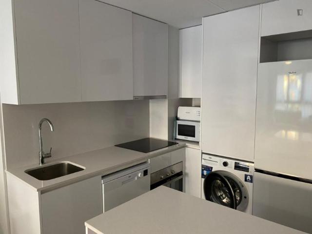 Apartamentos 2 Dormitorio Malaga Malaga ES103287602