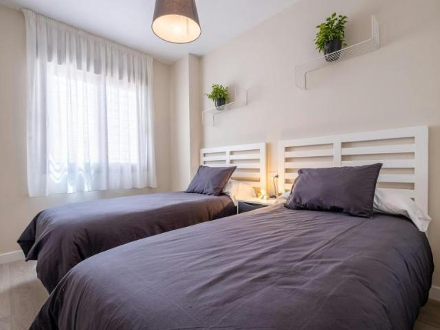 Apartamentos 2 Dormitorio Málaga Málaga ES104364517