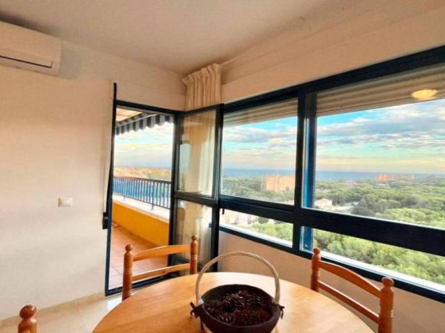 Apartamentos 2 Dormitorio Alicante Alicante ES103181890