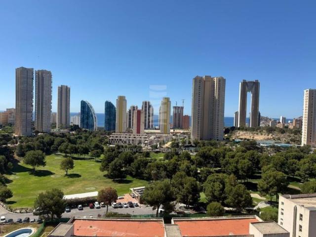Apartamentos 2 Dormitorio Alicante Communidad Valencia ES101775644