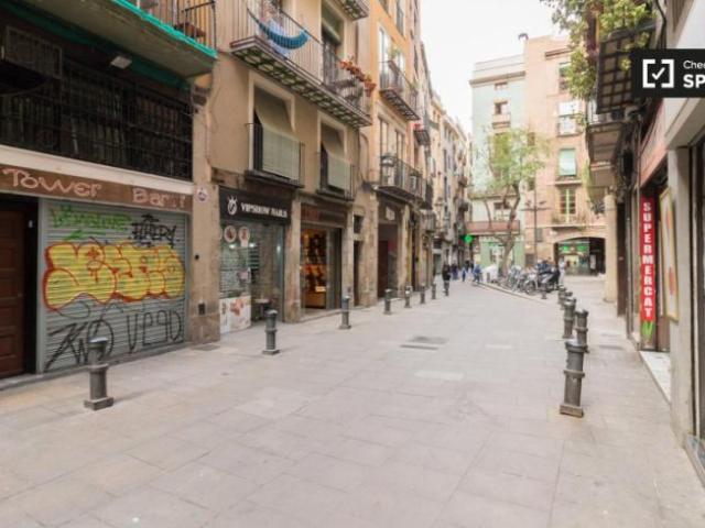 Apartamentos 2 Dormitorio Barcelona Barcelona ES91290885