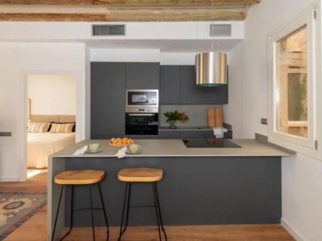 Apartamentos 2 Dormitorio Barcelona Barcelona ES91291394