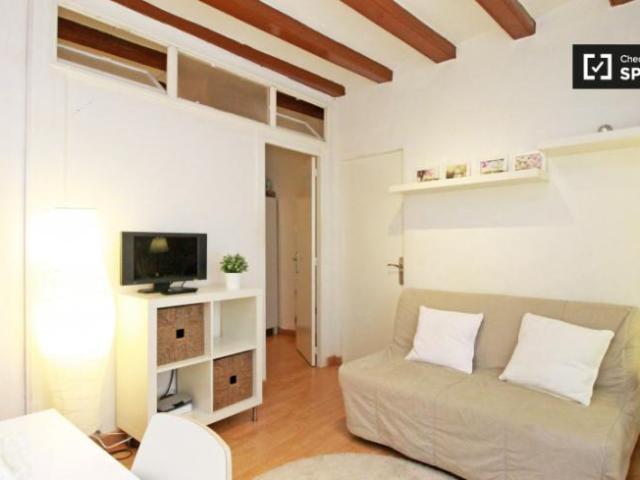 Apartamentos 2 Dormitorio Barcelona Barcelona ES101805650
