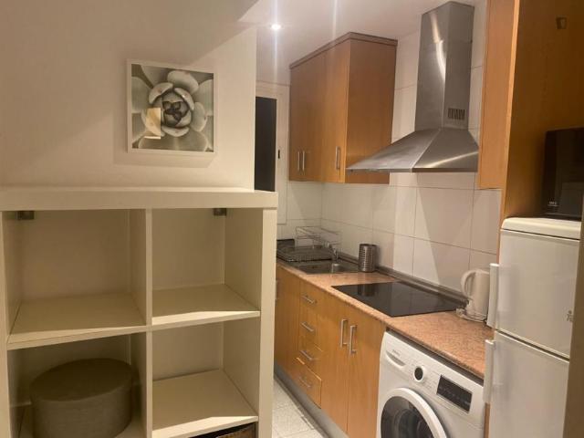 Apartamentos 2 Dormitorio Barcelona Barcelona ES104721154
