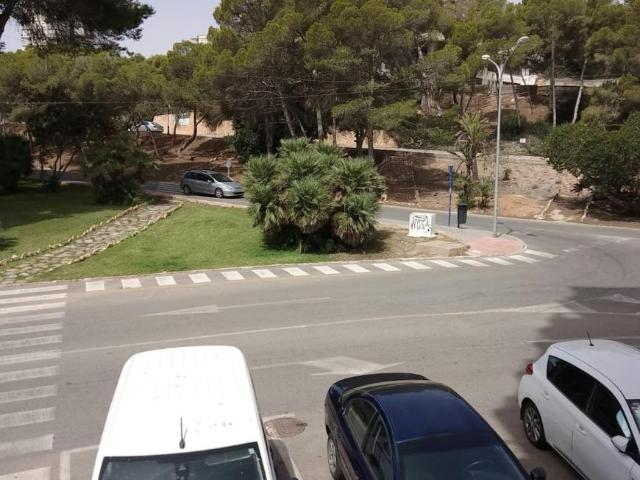 Apartamentos 2 Dormitorio Dehesa De Campoamor Dehesa De Campoamor ELS102813803