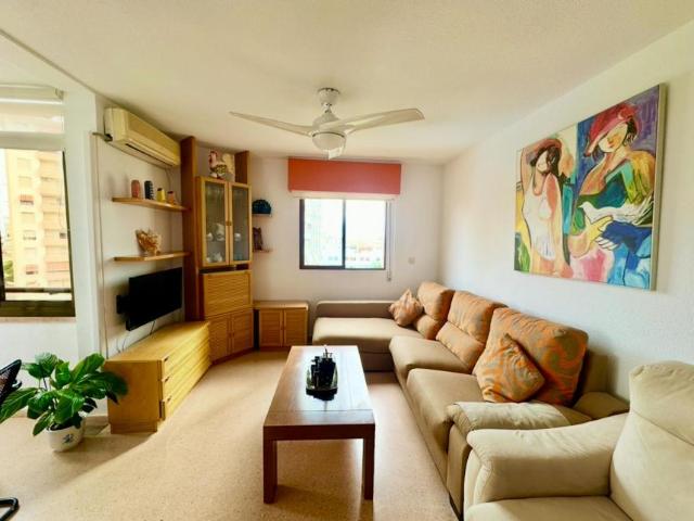Apartamentos 2 Dormitorio El Campello El Campello ES103302839