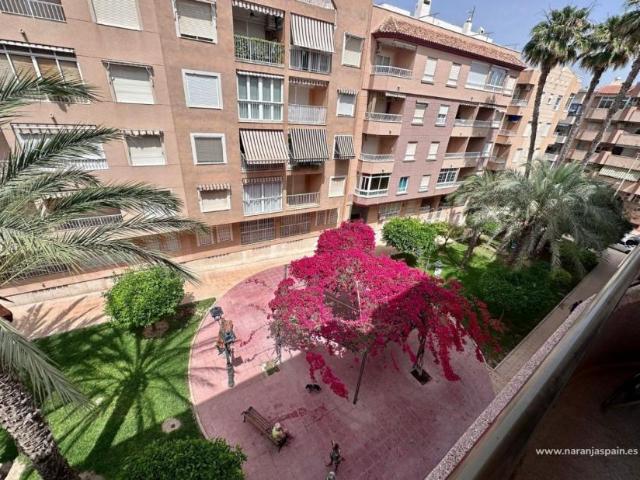 Apartamentos 2 Dormitorio Guardamar Del Segura Alicante ES91516318