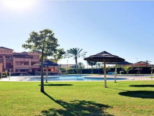 Apartamentos 2 Dormitorio Granada Granada ELS98320304