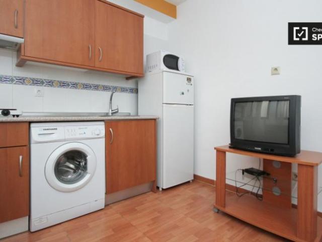 Apartamentos 2 Dormitorio Granada Granada ES101851137