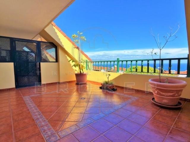 Apartamentos 2 Dormitorio Puerto De La Cruz Puerto De La Cruz ELS100496848