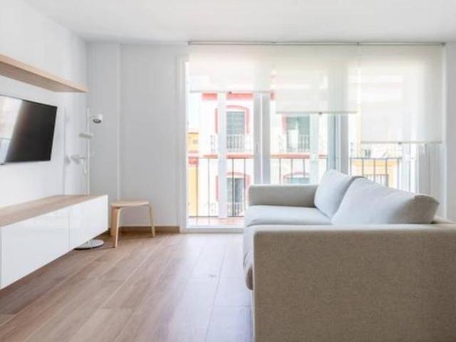 Apartamentos 2 Dormitorio Seville Seville ES101820828