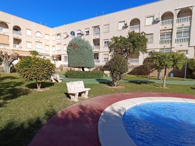 Apartamentos 2 Dormitorio Torrevieja Alicante ELS102204300