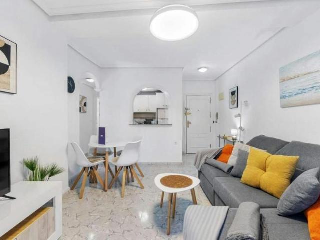 Apartamentos 2 Dormitorio Torrevieja Torrevieja ES104324863