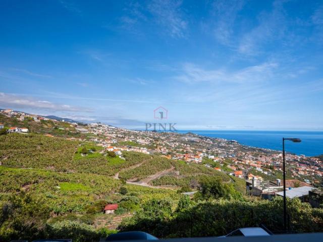 Apartamentos 2 quarto, Câmara de Lobos Ilha da Madeira DS101641442