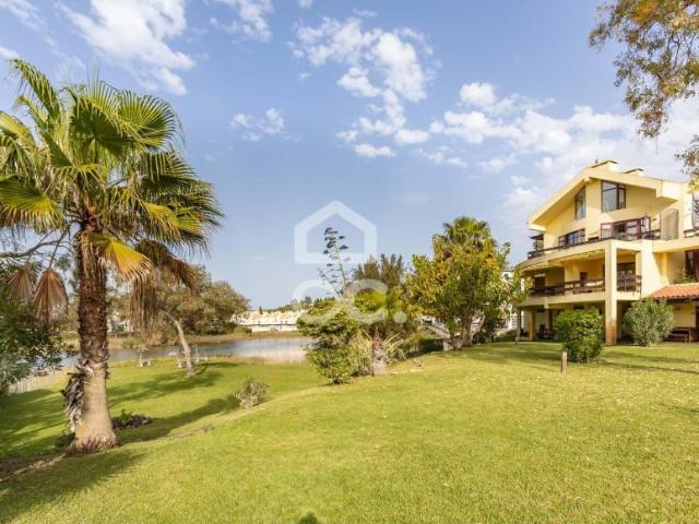 Apartamentos 2 quarto, Grândola Setúbal DS100984688