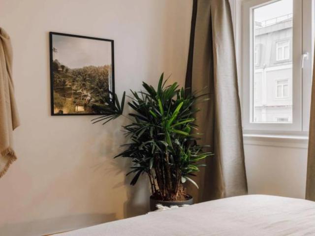Apartamentos 2 quarto, Lisbon Lisbon 1150 295 DLS97237642